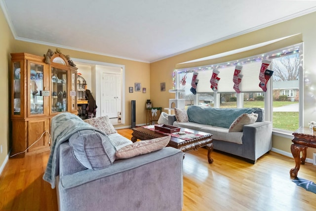 living room with ornamental molding and light hardwood / wood-style flooring