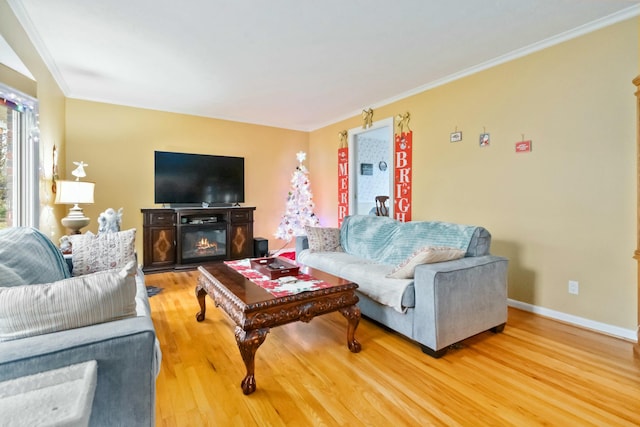 living room with hardwood / wood-style flooring and crown molding