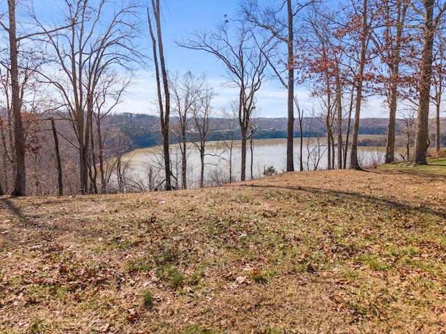 Listing photo 2 for 188 Lake Cliff Dr, Somerset KY 42503