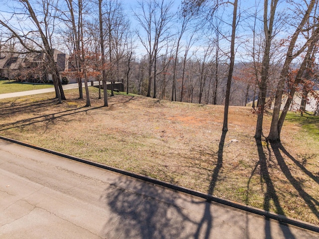 Listing photo 3 for 188 Lake Cliff Dr, Somerset KY 42503