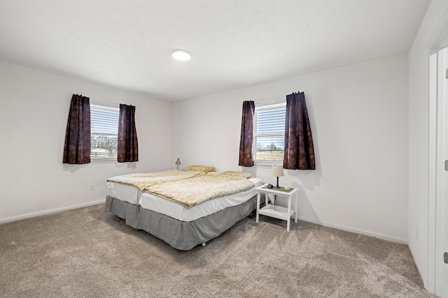 bedroom with multiple windows, light carpet, and a textured ceiling