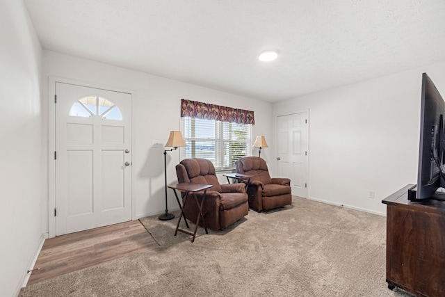 interior space featuring light carpet and a textured ceiling