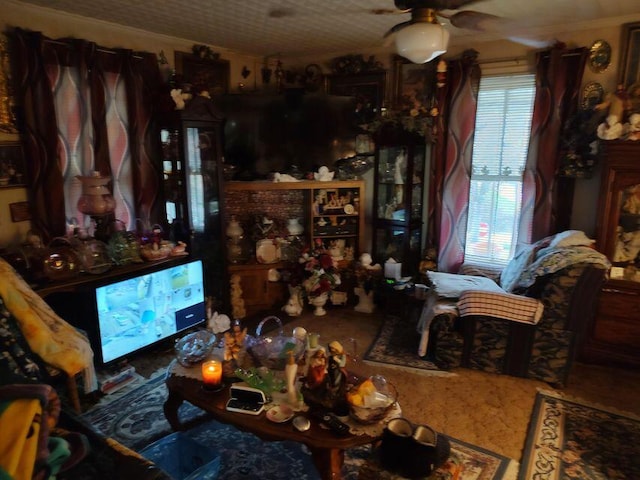 living area featuring ceiling fan