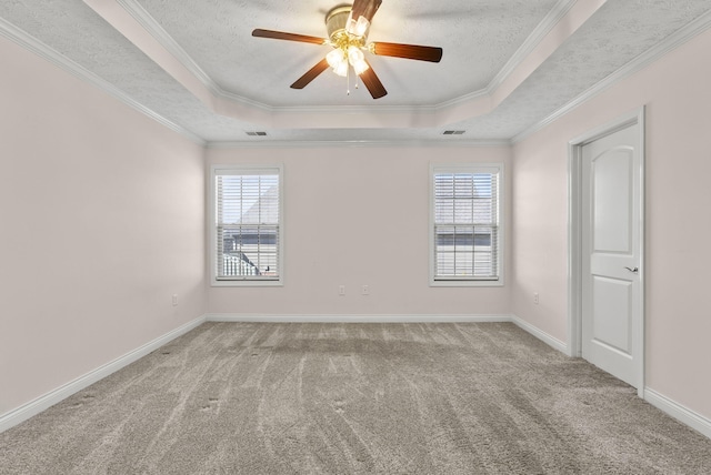 spare room featuring a tray ceiling, plenty of natural light, and carpet