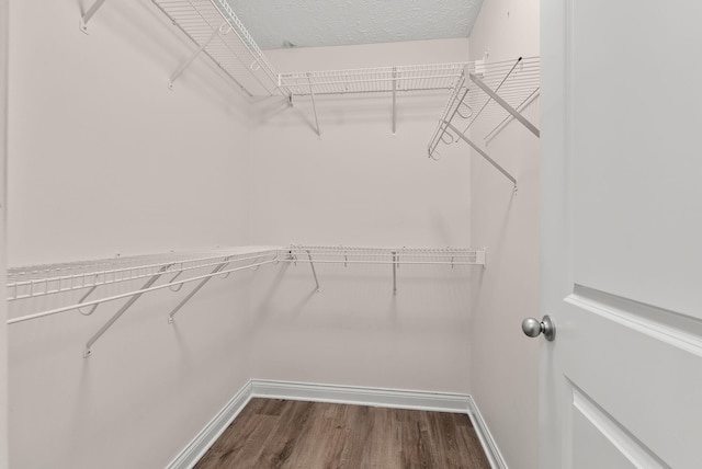 walk in closet featuring dark wood-style flooring