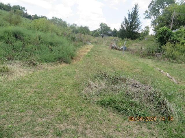 view of yard with a rural view