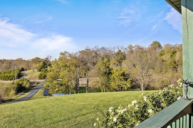 view of yard featuring a view of trees