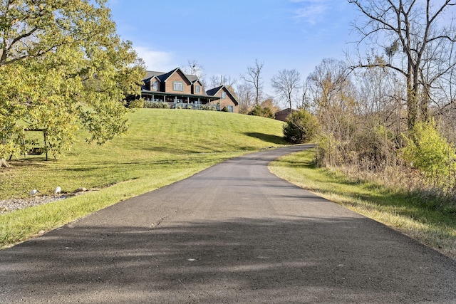 view of street with driveway