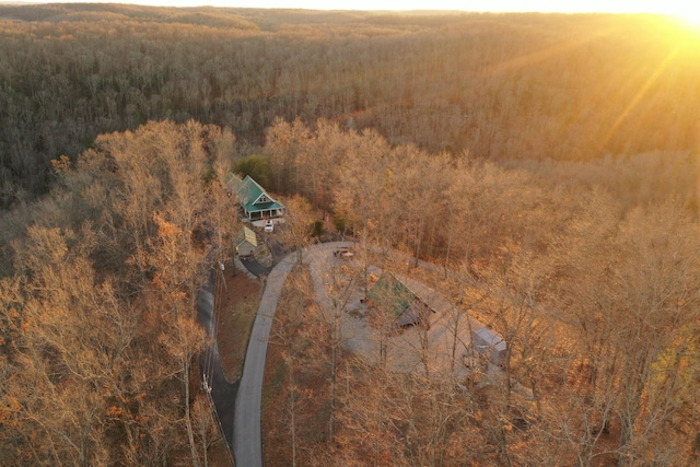 aerial view with a forest view