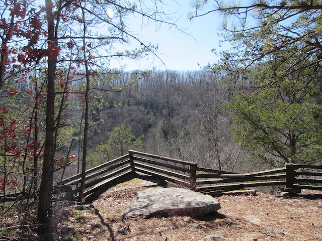 view of yard with a wooded view