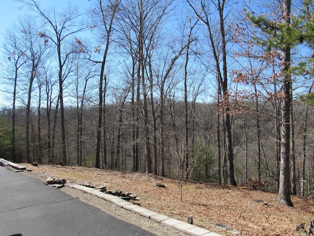 view of street with a view of trees