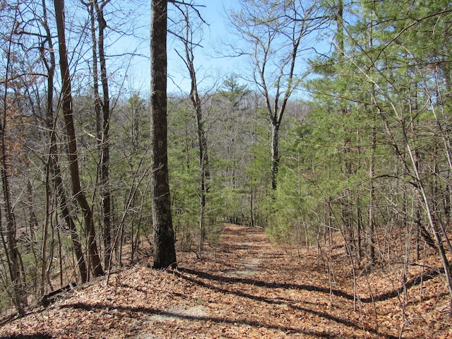 view of local wilderness with a view of trees