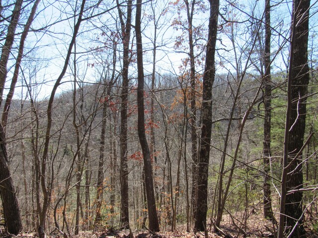 view of nature featuring a forest view