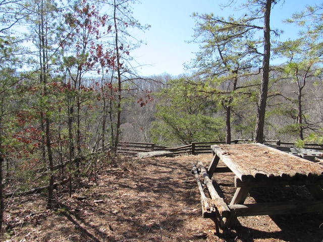 view of yard featuring a forest view