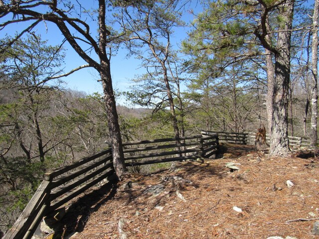 view of yard with a forest view and fence