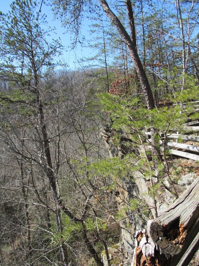 view of local wilderness with a wooded view