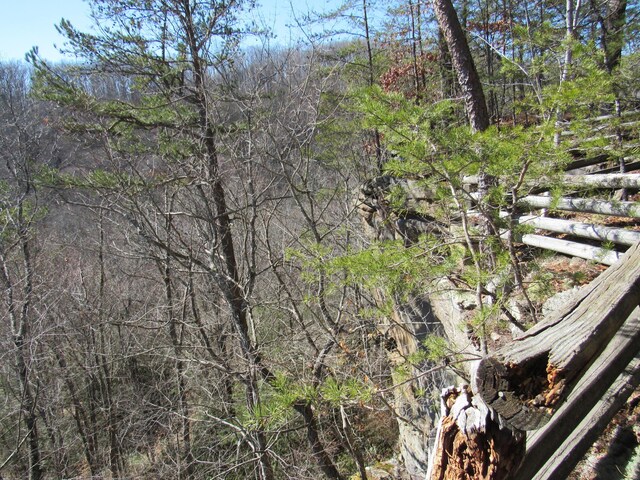 view of nature with a view of trees