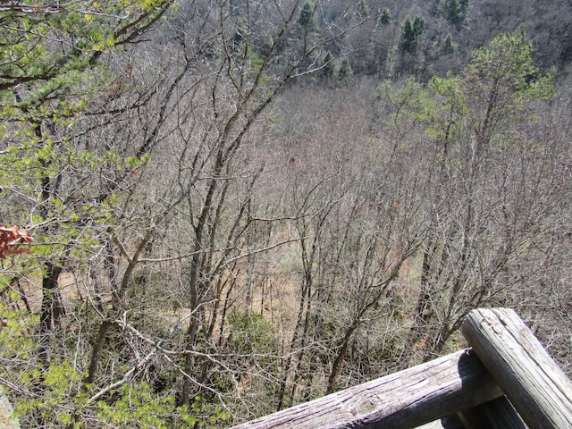 exterior space with a forest view