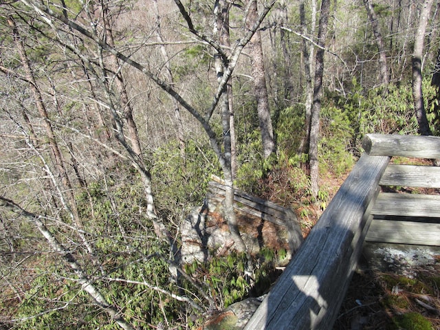 view of yard featuring a wooded view