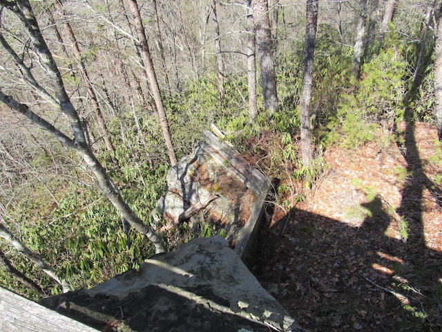 view of nature with a forest view