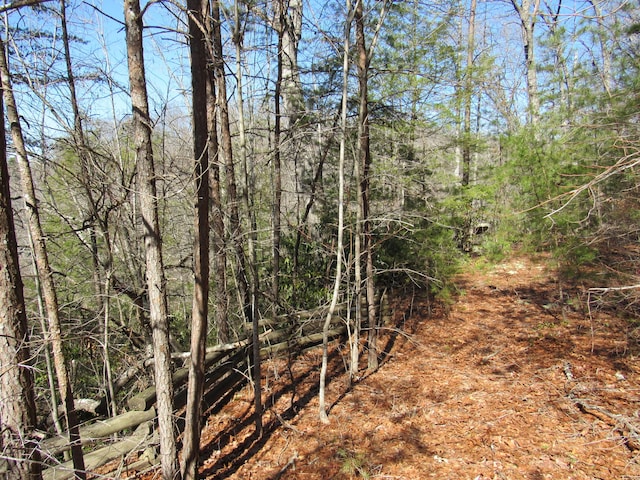 view of landscape with a view of trees