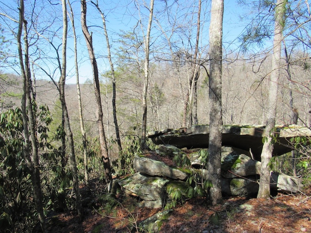 view of landscape featuring a forest view