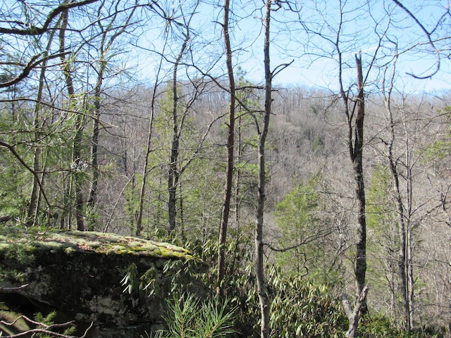 view of landscape featuring a forest view