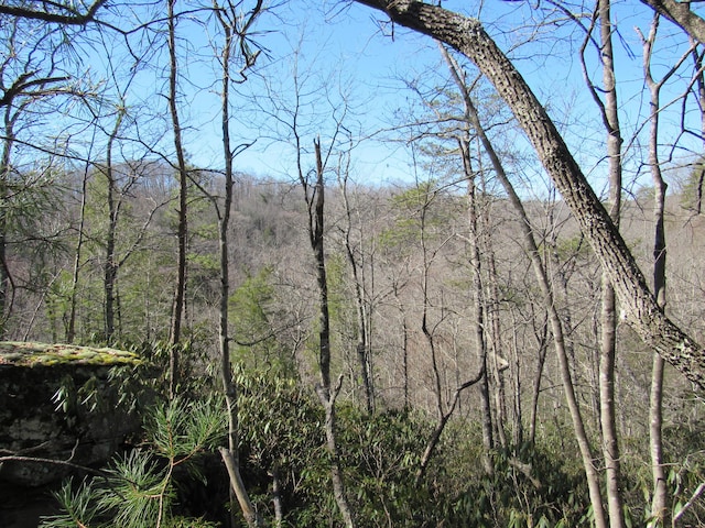 view of local wilderness with a wooded view