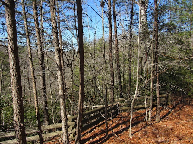 view of landscape with a forest view