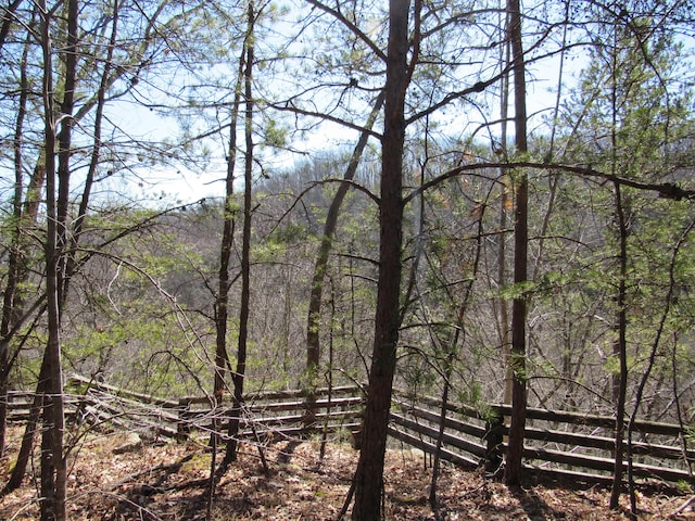 view of nature featuring a wooded view