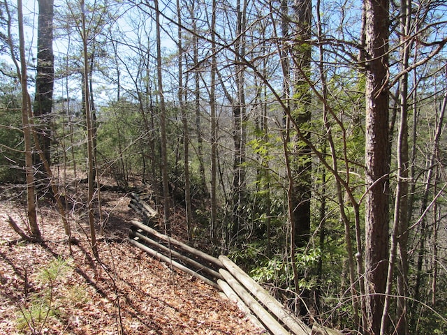 view of landscape featuring a wooded view