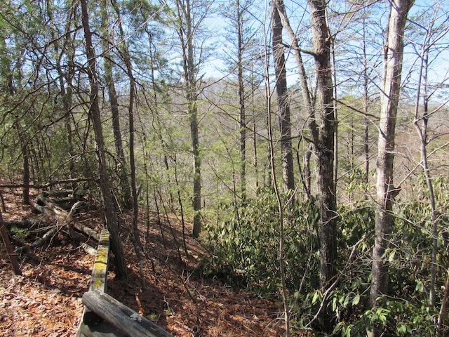 view of nature with a forest view