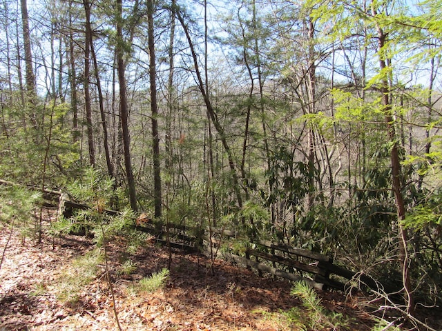 view of local wilderness with a view of trees