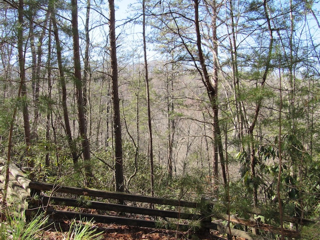 view of local wilderness with a forest view