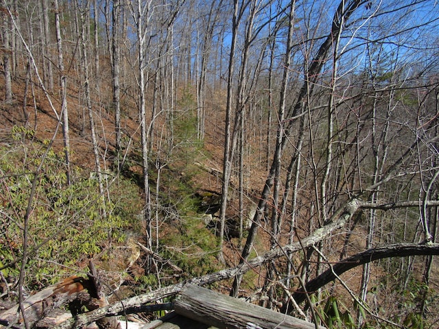 view of nature featuring a forest view