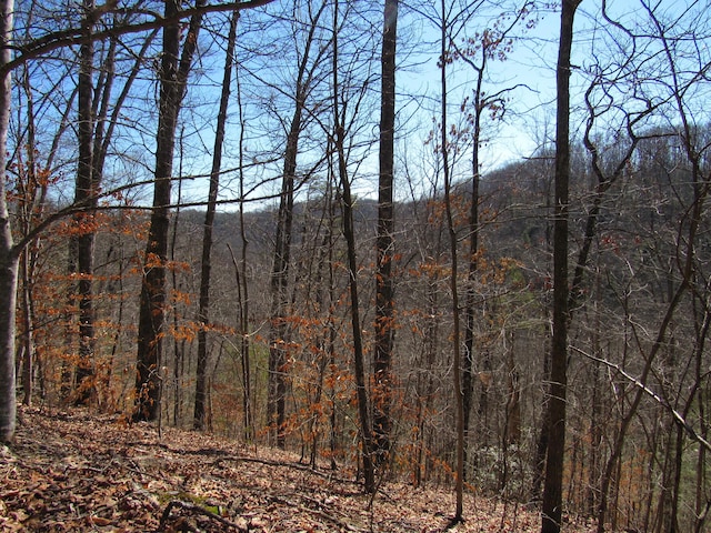 view of mountain feature featuring a view of trees