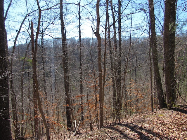 view of local wilderness featuring a wooded view