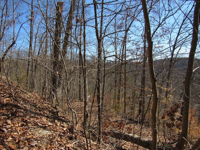 view of local wilderness featuring a view of trees