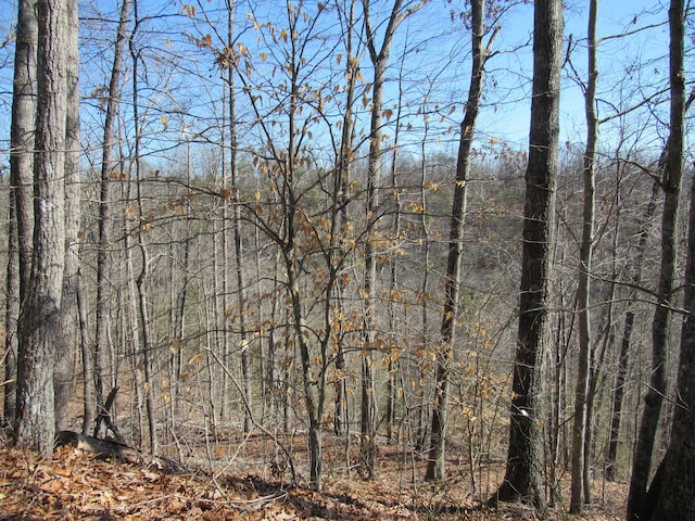 view of landscape with a view of trees