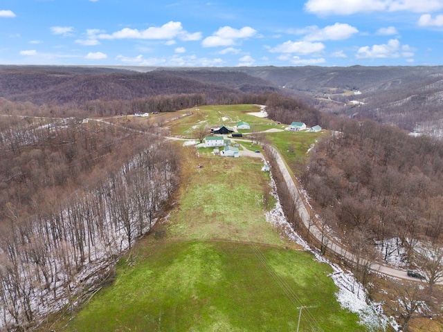 aerial view with a mountain view and a rural view