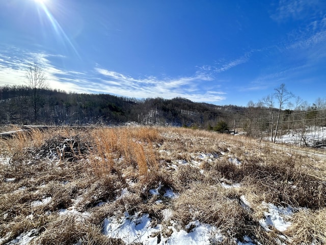 view of landscape