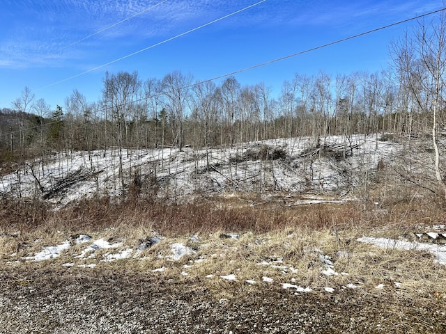 view of snowy landscape