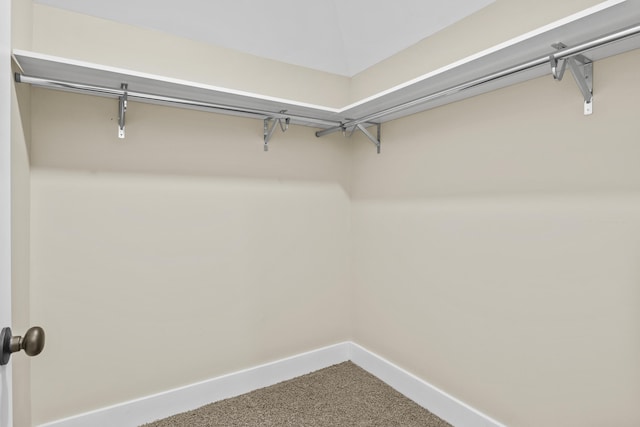 walk in closet featuring carpet