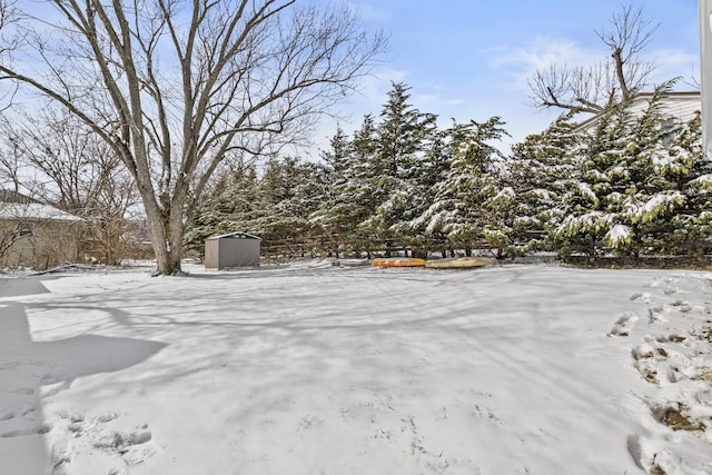 view of yard covered in snow