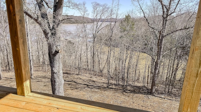 554 Colson Dr, Bronston, KY 42518 - view of nature