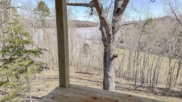 554 Colson Dr, Bronston, KY 42518 - view of local wilderness