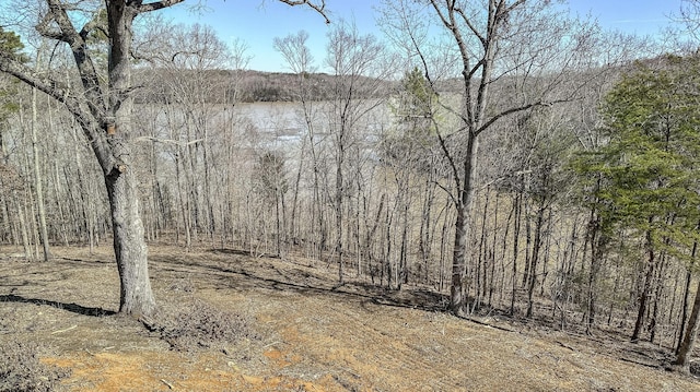 554 Colson Dr, Bronston, KY 42518 - view of landscape