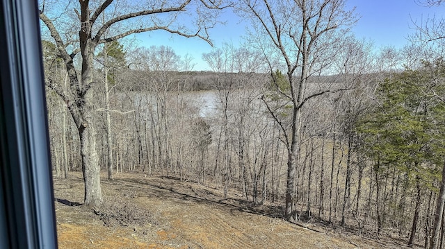 554 Colson Dr, Bronston, KY 42518 - view of nature