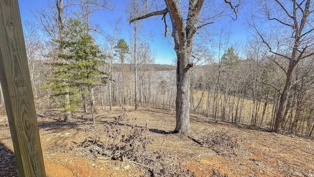 554 Colson Dr, Bronston, KY 42518 - view of nature with a forest view