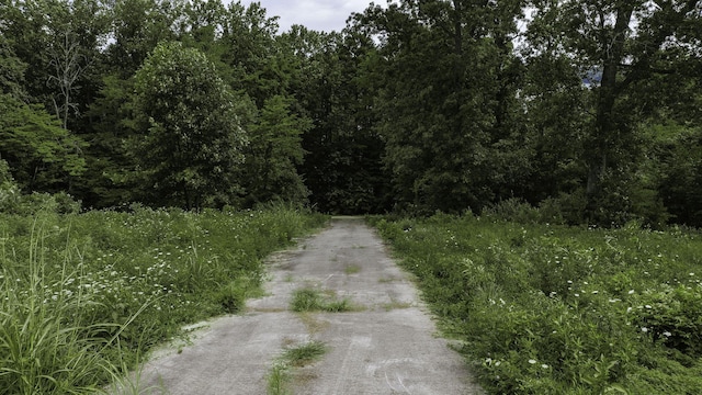 554 Colson Dr, Bronston, KY 42518 - view of street featuring a forest view